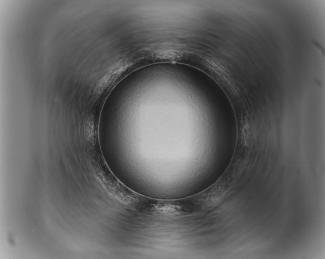 X0000100780407200806261634