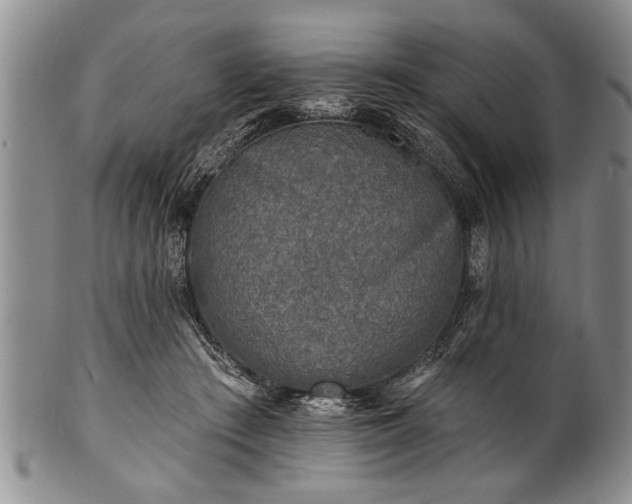 X0000100780409200806261634