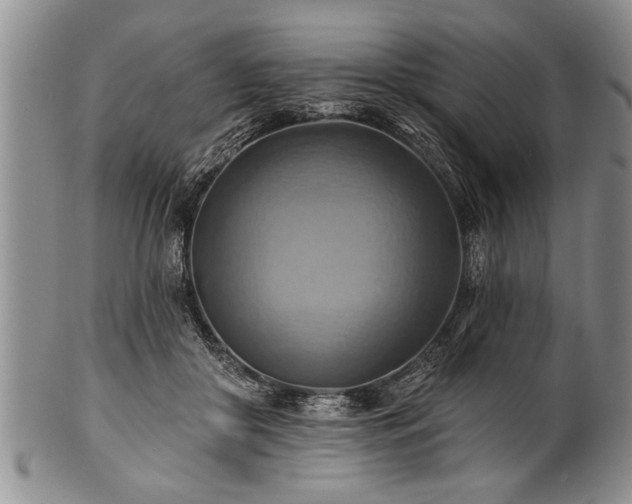 X0000100780410200806261634