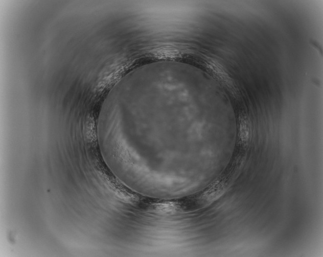 X0000100780411200806261634