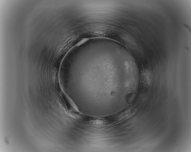 X0000100780412200806261634