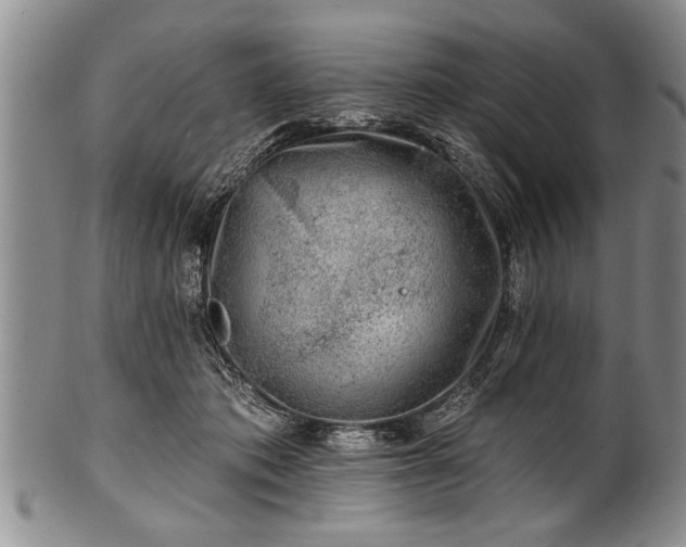 X0000100780413200806261634