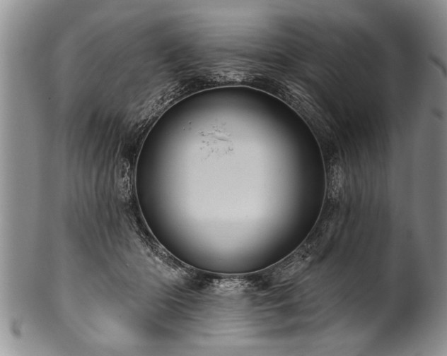 X0000100780414200806261634