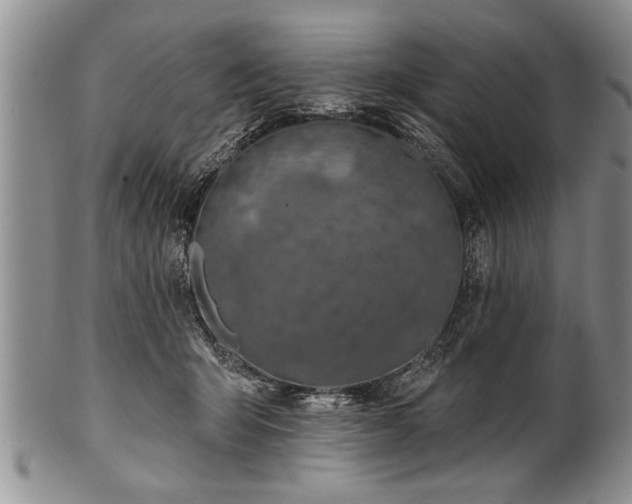 X0000100780415200806261633