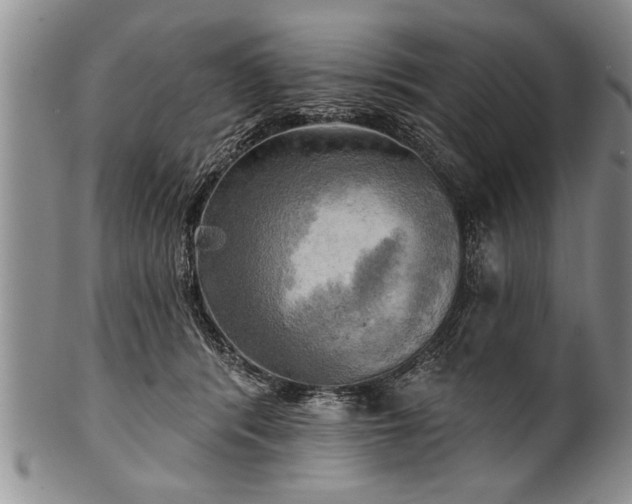 X0000100780416200806261633