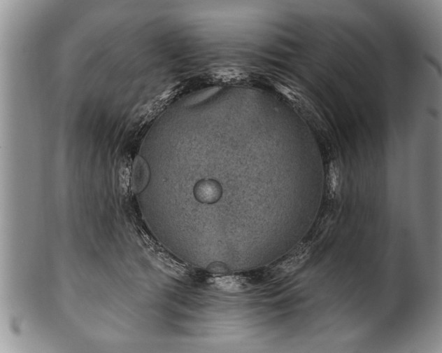 X0000100780417200806261633