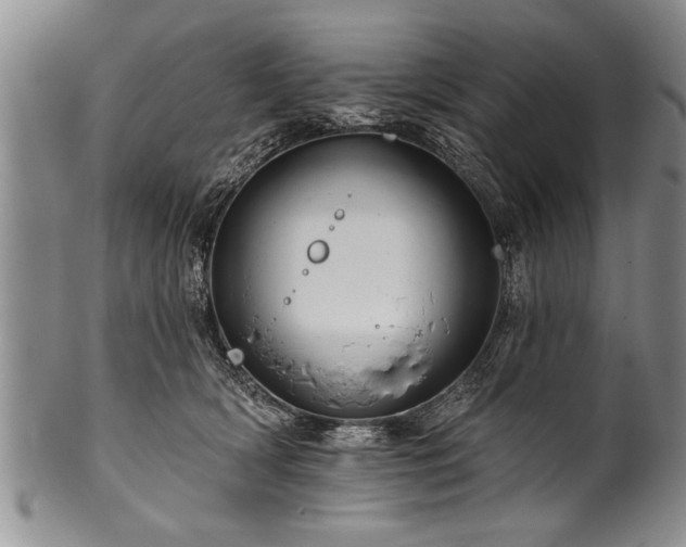 X0000100780418200806261633