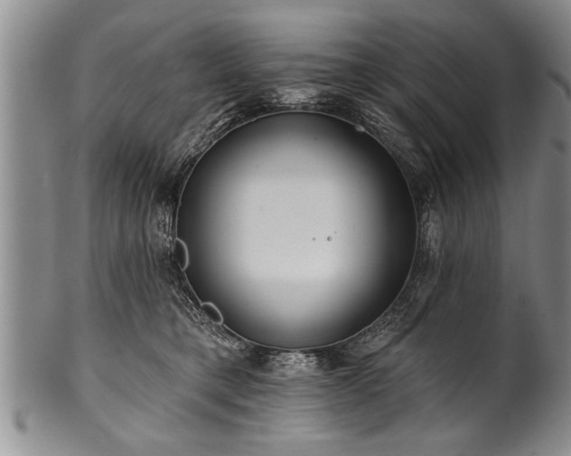 X0000100780421200806261633