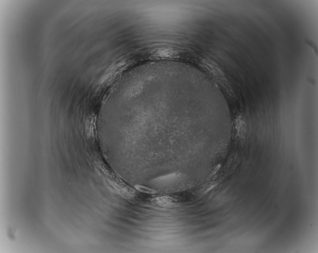 X0000100780423200806261633