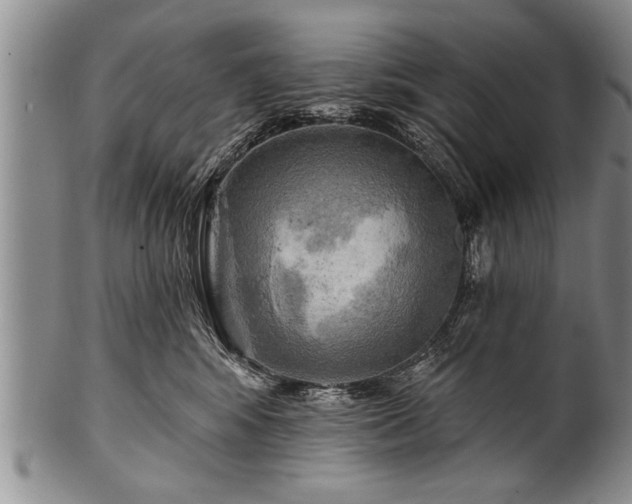 X0000100780424200806261633