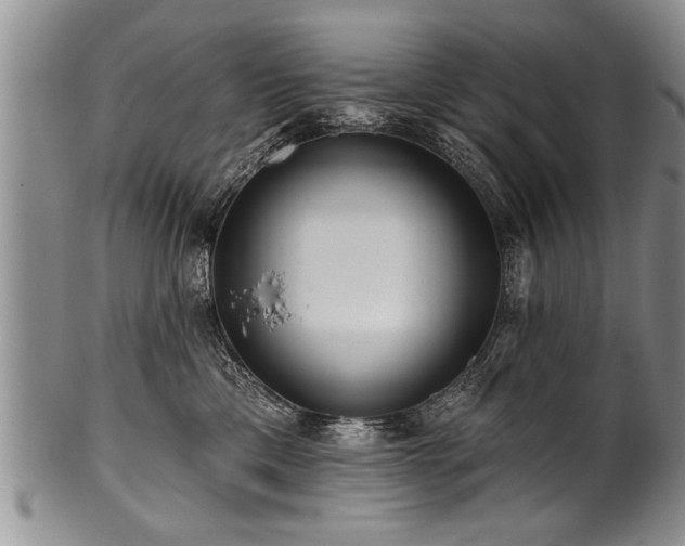 X0000100780425200806261633