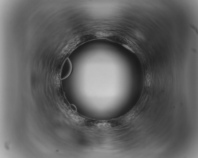 X0000100780426200806261633