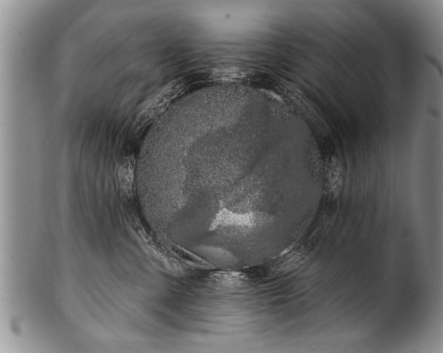 X0000100780427200806261633