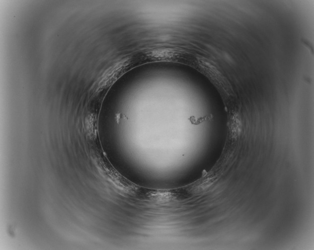 X0000100780428200806261633