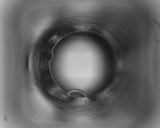 X0000100780429200806261633