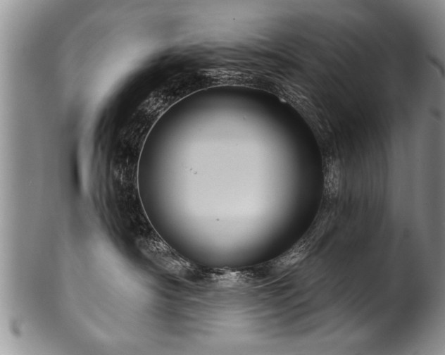 X0000100780430200806261633