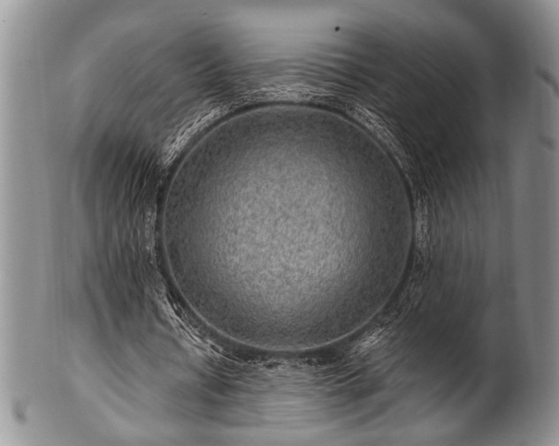 X0000100780434200806261633