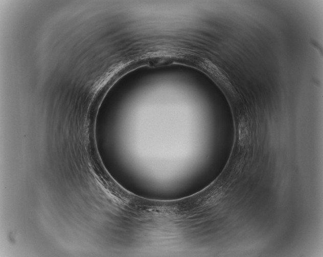 X0000100780436200806261633