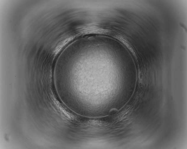 X0000100780437200806261633