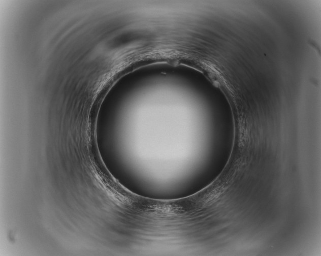 X0000100780439200806261633