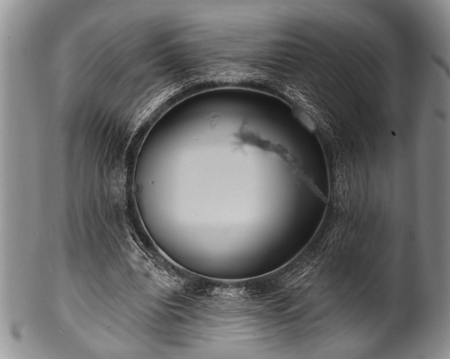 X0000100780440200806261633