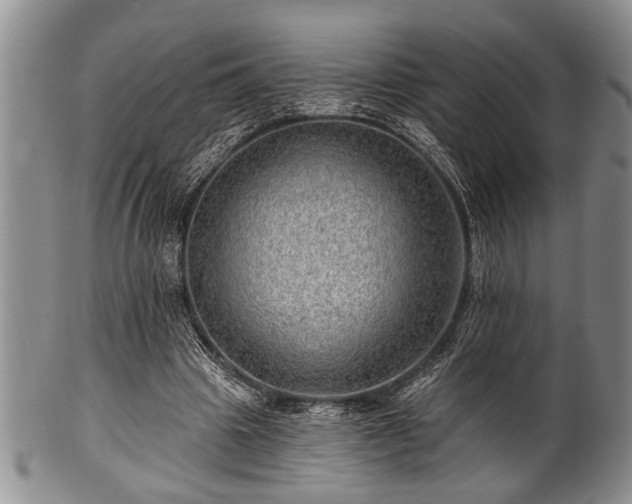 X0000100780441200806261633