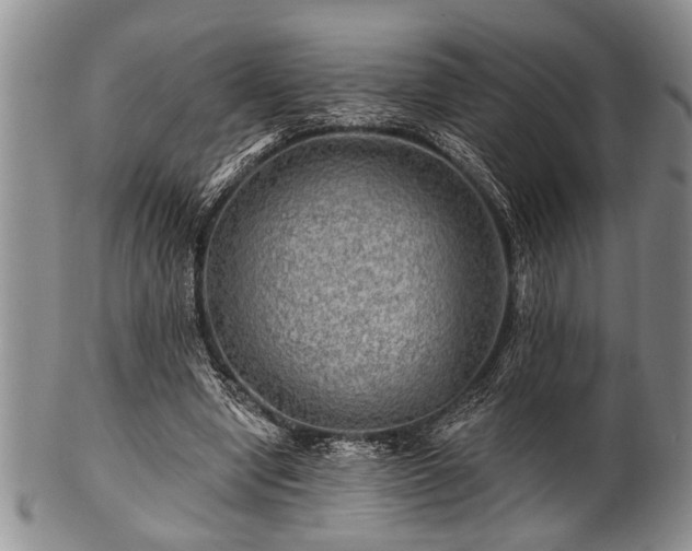 X0000100780442200806261633