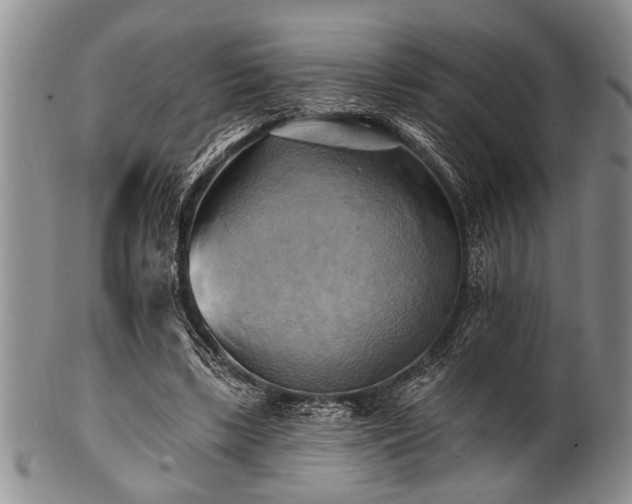 X0000100780443200806261633