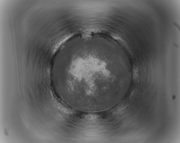 X0000100780444200806261633