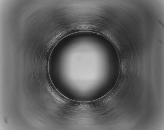 X0000100780445200806261633