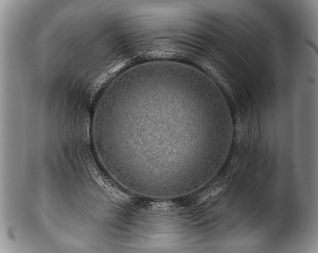 X0000100780446200806261633