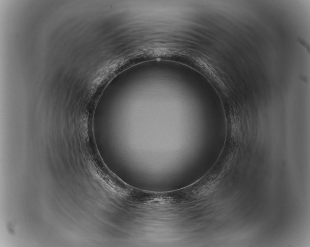 X0000100780447200806261633