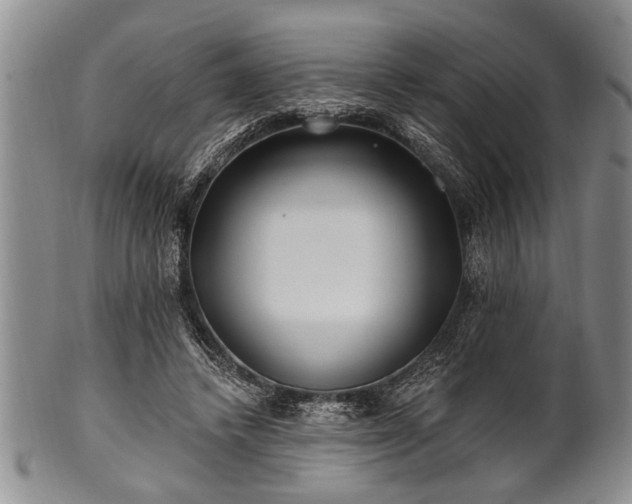 X0000100780448200806261633