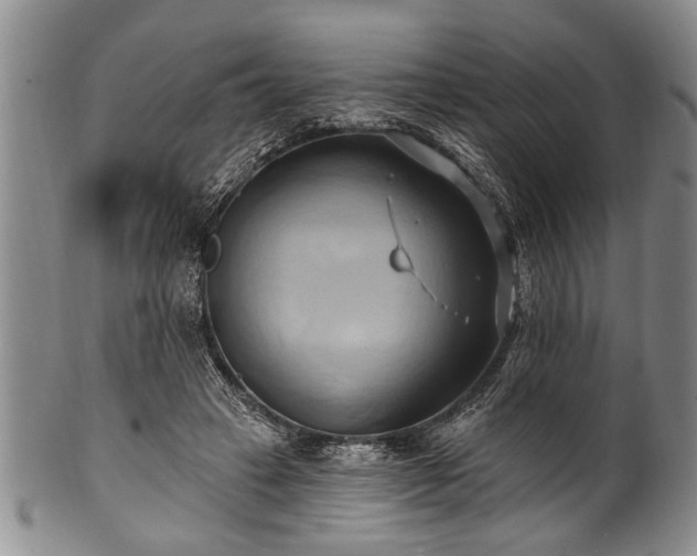 X0000100780449200806261633