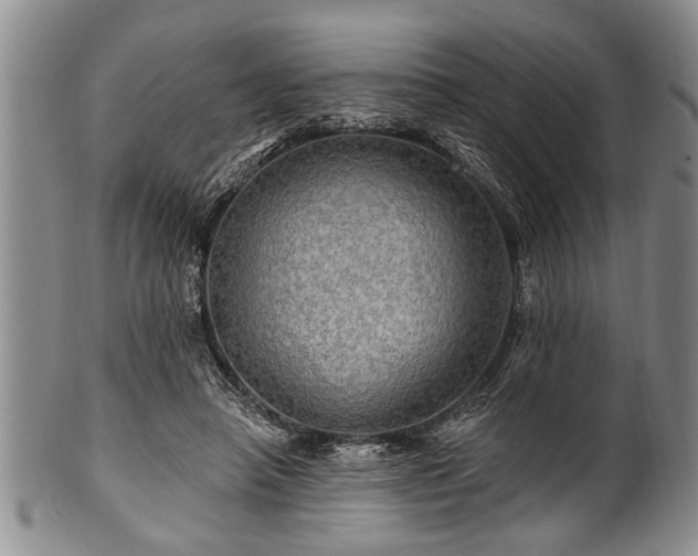 X0000100780450200806261633