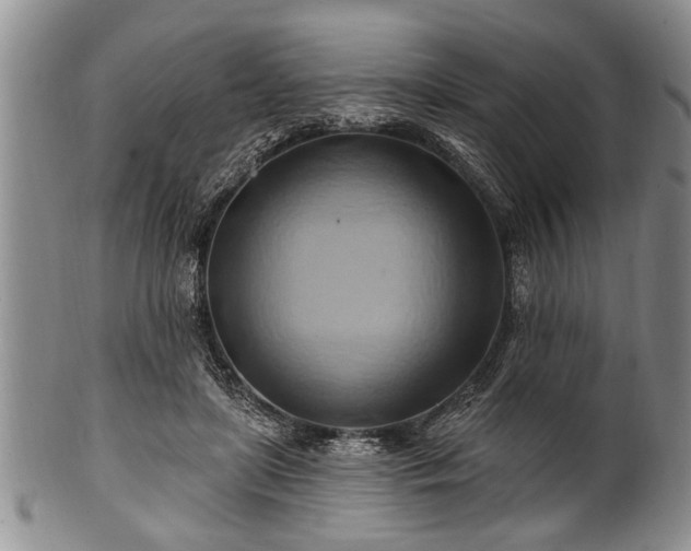 X0000100780451200806261633