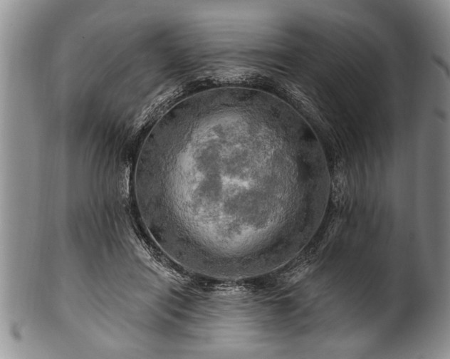 X0000100780454200806261633