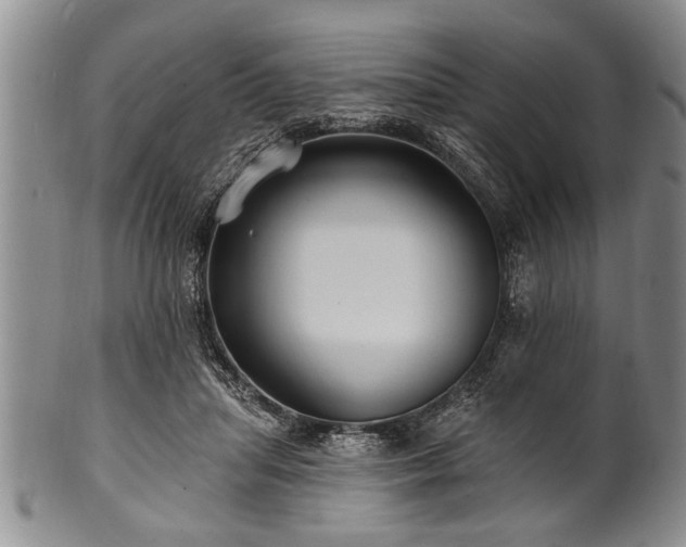 X0000100780455200806261633