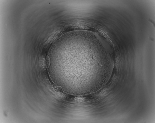 X0000100780457200806261633