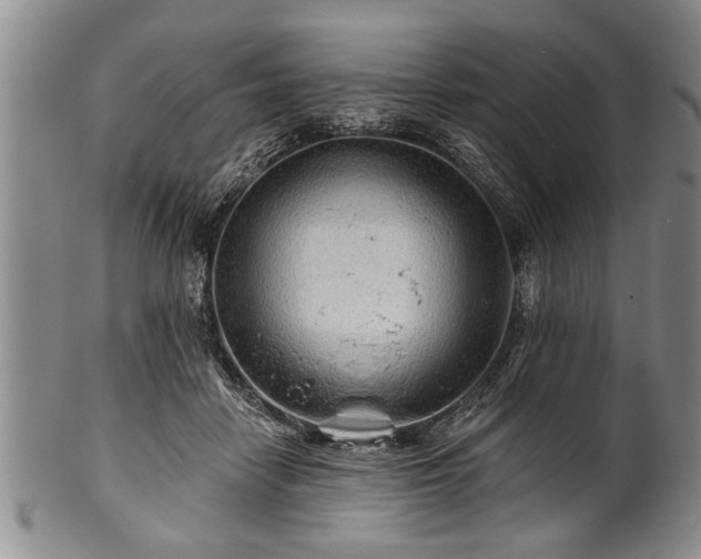 X0000100780458200806261633