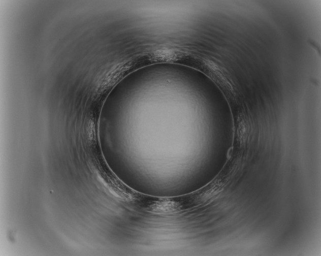 X0000100780459200806261633