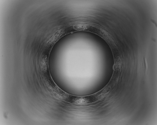 X0000100780460200806261633