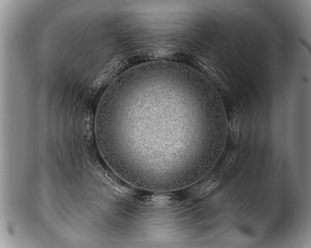 X0000100780462200806261633