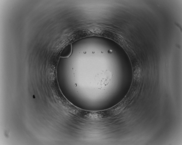 X0000100780464200806261633