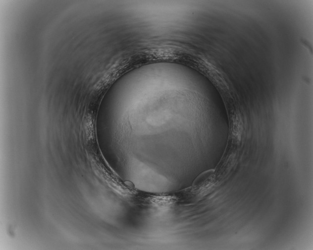 X0000100780465200806261633