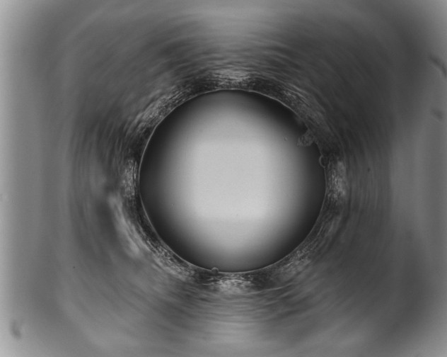 X0000100780468200806261633