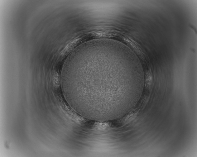 X0000100780469200806261633