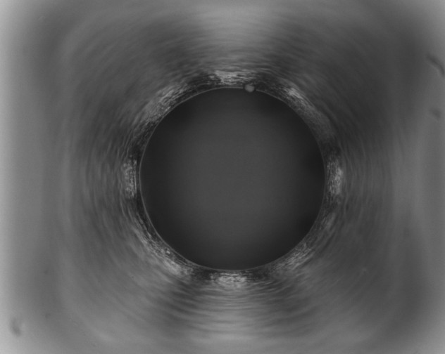 X0000100780471200806261633