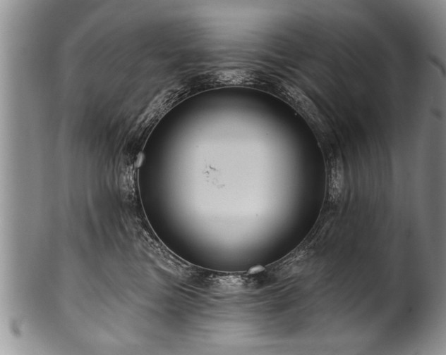 X0000100780473200806261633