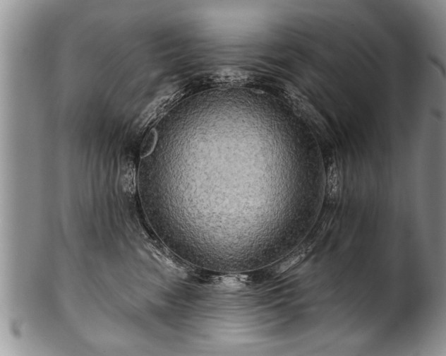 X0000100780474200806261633